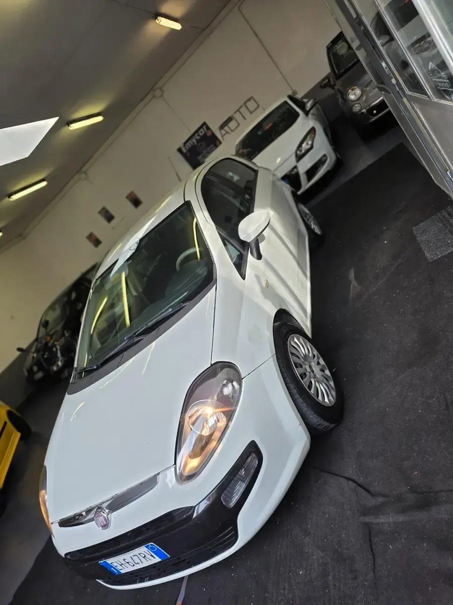 Usata Fiat Punto Evo Dynamic 75 CV (55 kW) 2011 Bianco Utilitaria