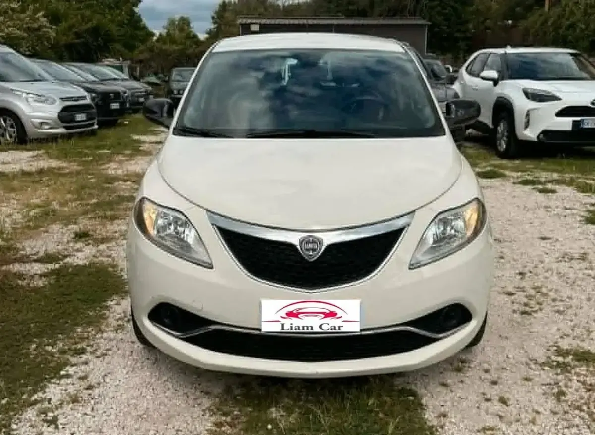 Usata Lancia Ypsilon 95 CV (69 kW) 2014 Bianco Utilitaria