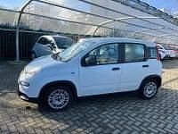 Usado Fiat Panda S 69 CV (50 kW) 2023 Blanco Utilitario