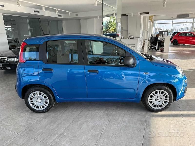 Usata Fiat Panda Icon 69 CV (50 kW) 2025 Azzurro Berlina