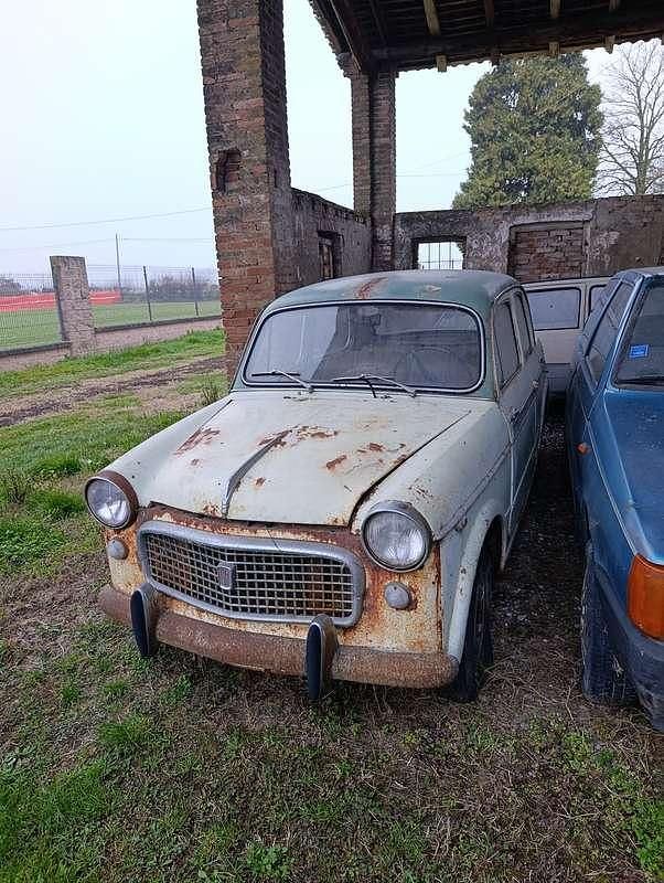 Usata Fiat 1100 37 CV (27 kW) 1959 Bianco Berlina