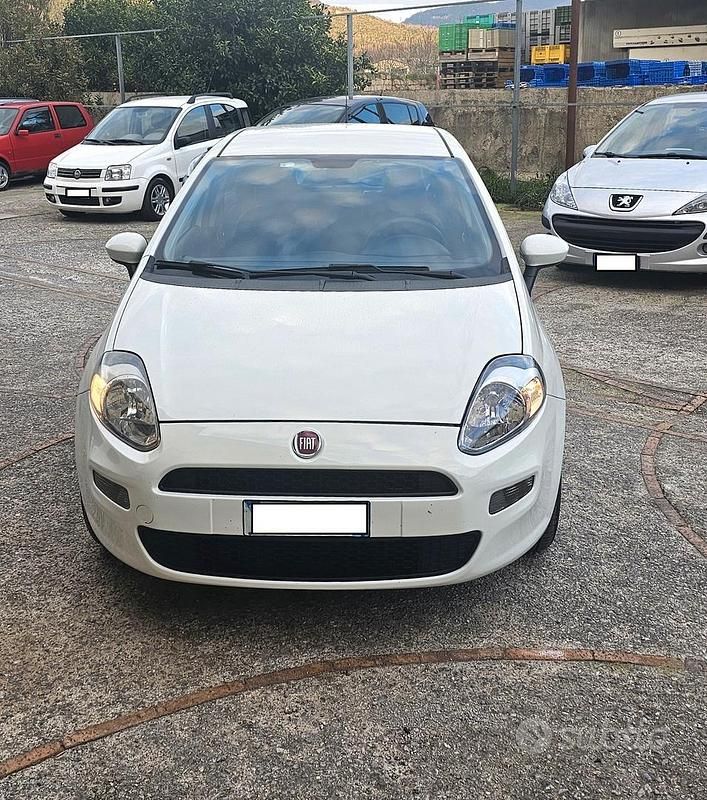 Usata Fiat Punto 75 CV (55 kW) 2014 Bianco Berlina