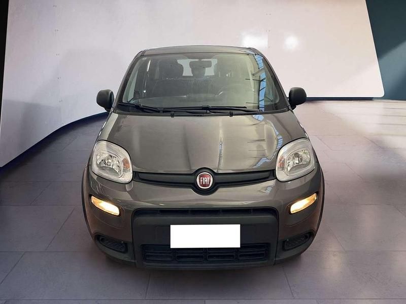 Usata Fiat Panda S 69 CV (50 kW) 2023 Other Utilitaria