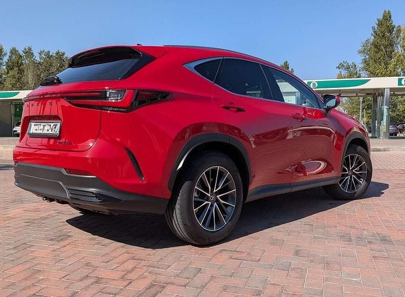 Usata Lexus NX350h Business Edition 190 CV (139 kW) 2024 Rosso SUV
