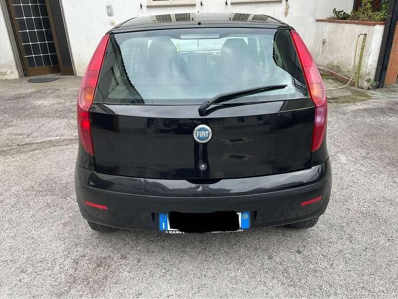 Usata Fiat Punto Active 60 CV (44 kW) 2010 Nero Utilitaria