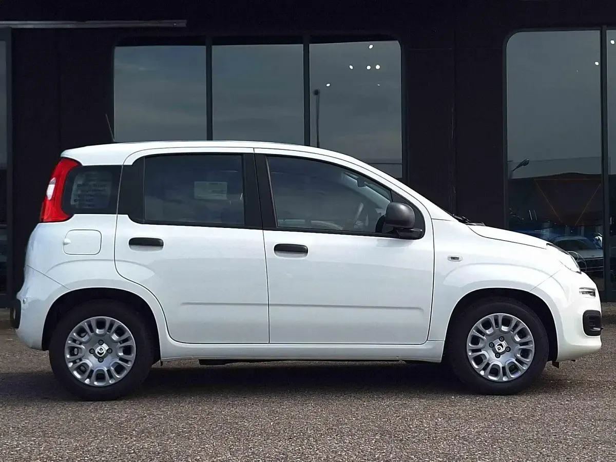 Usata Fiat Panda Icon 65 CV (47 kW) 2026 Bianco Utilitaria