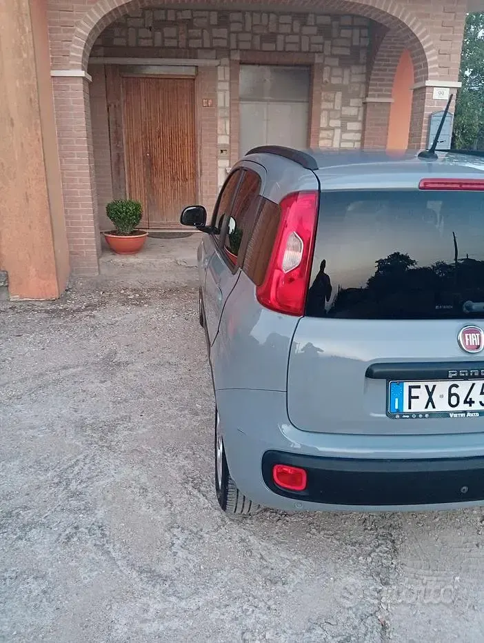 Usata Fiat Panda 69 CV (50 kW) 2019 Grigio Utilitaria