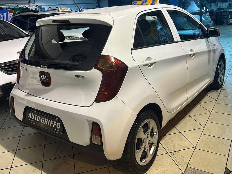 Usata Kia Picanto 68 CV (50 kW) 2016 Bianco Utilitaria