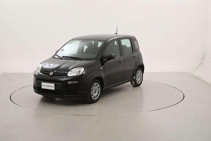 Usata Fiat Panda 71 CV (52 kW) 2024 Nero Utilitaria