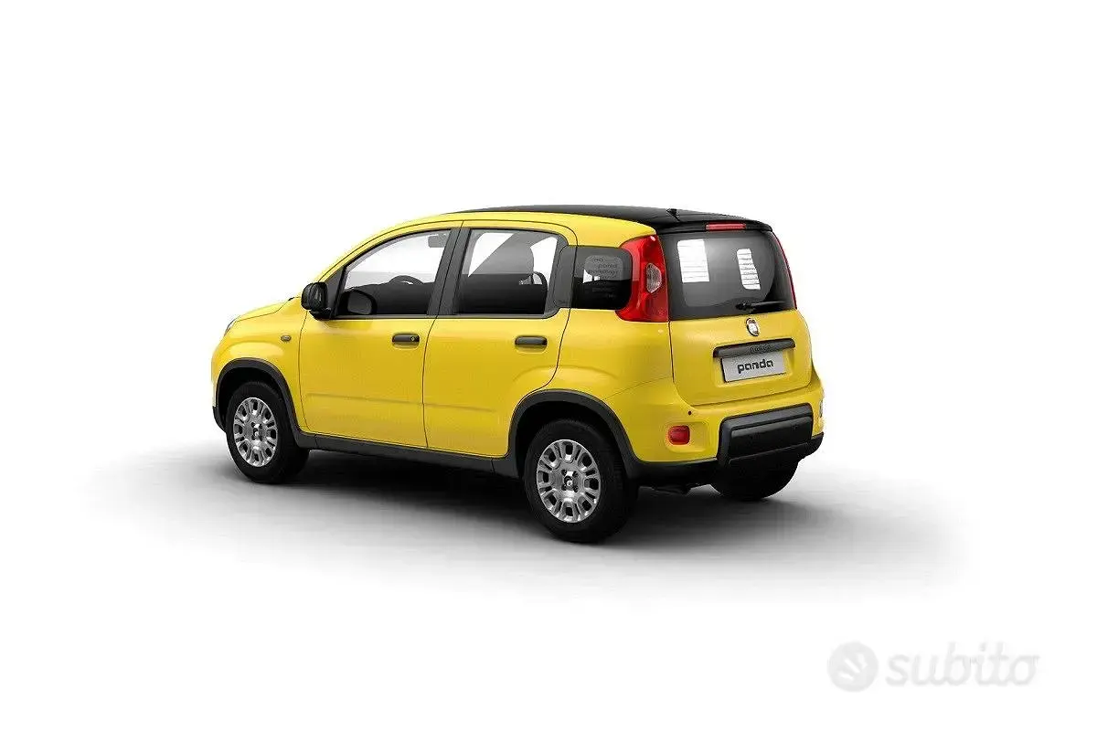 Nuova Fiat Panda Icon 65 CV (47 kW) 2026 Bianco Utilitaria