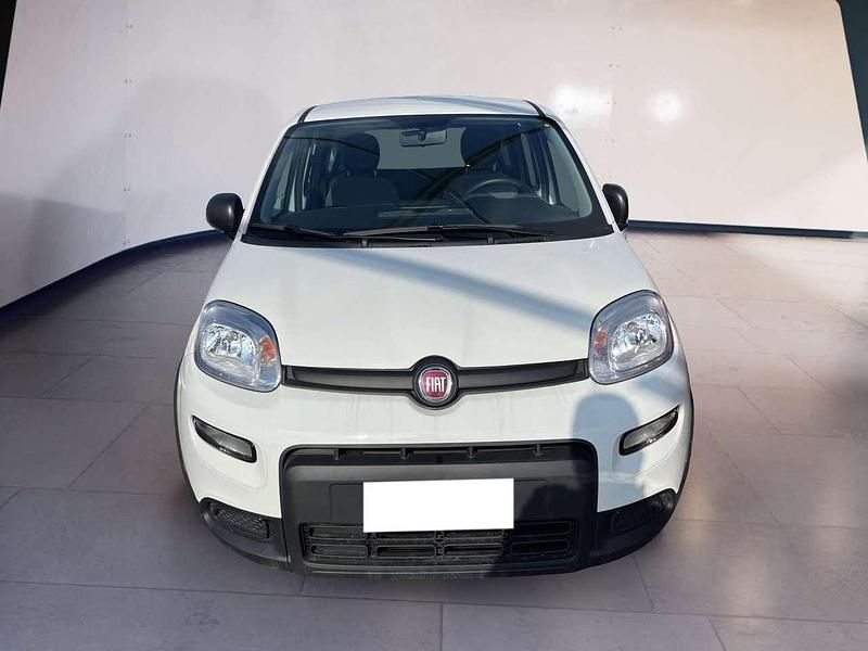 Usata Fiat Panda S 69 CV (50 kW) 2023 Bianco Utilitaria