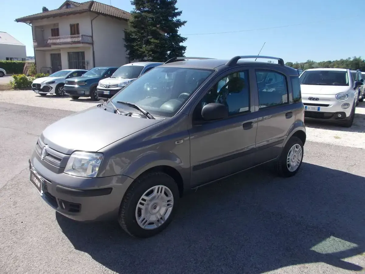 Usata Fiat Panda Dynamic 60 CV (44 kW) 2009 Grigio Utilitaria