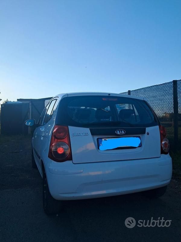 Usata Kia Picanto 62 CV (45 kW) 2009 Bianco Utilitaria