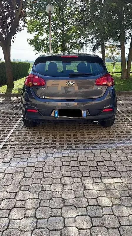 Usata Kia Ceed Active 110 CV (80 kW) 2015 Grigio Utilitaria