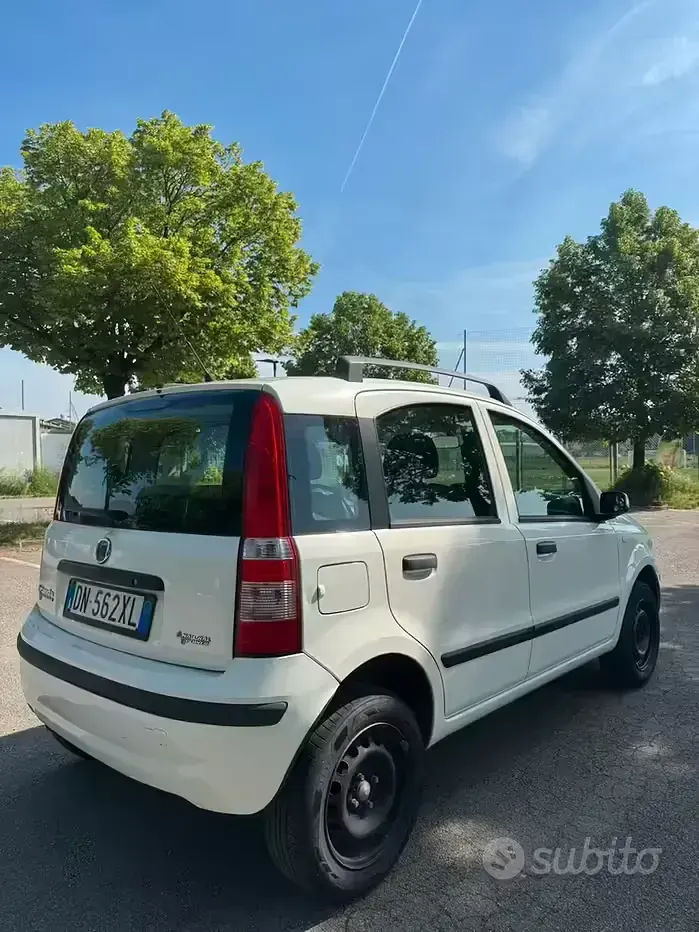 Usata Fiat Panda Dynamic 60 CV (44 kW) 2008 Bianco Utilitaria