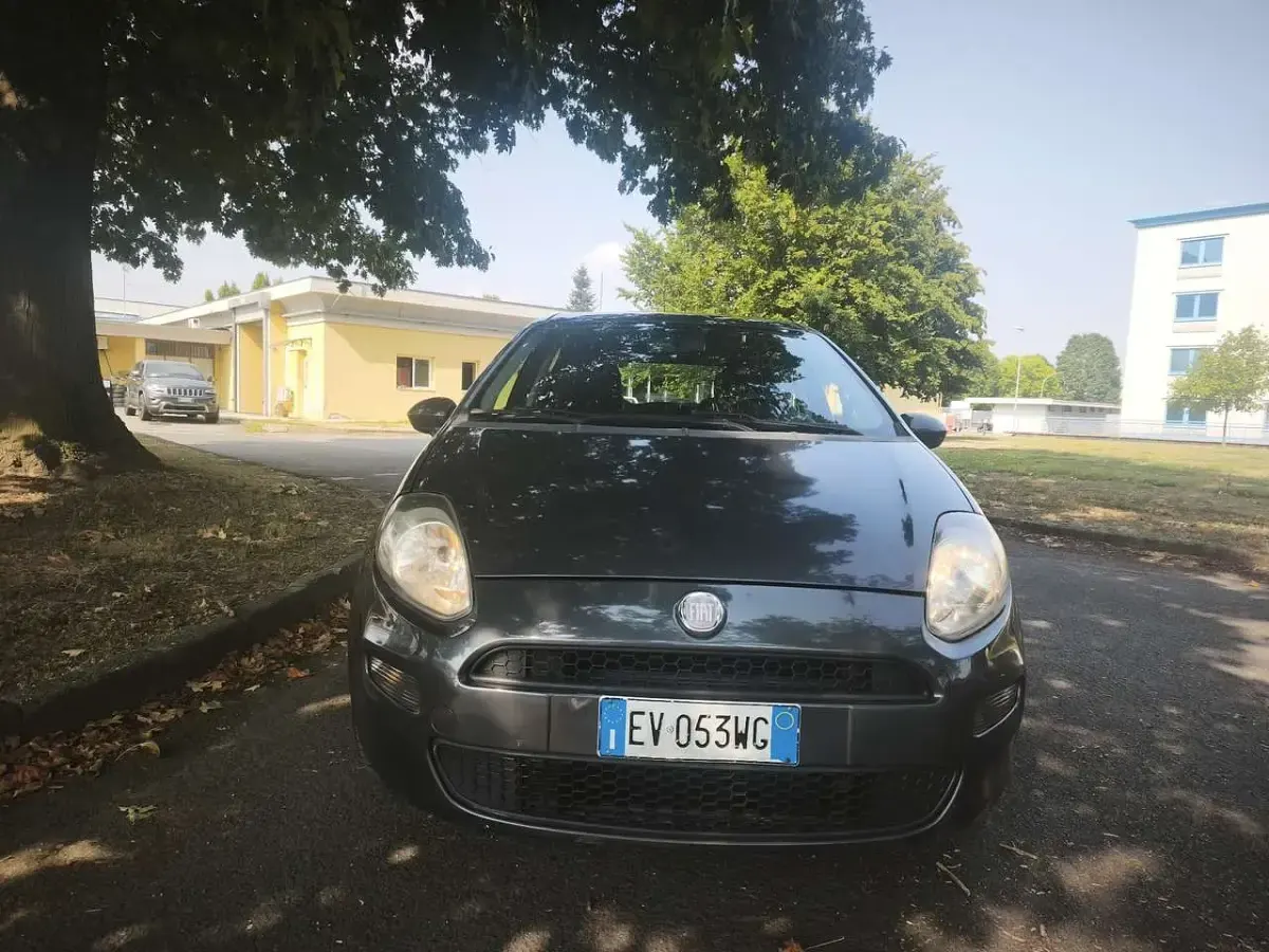 Usata Fiat Punto Evo 77 CV (56 kW) 2014 Grigio Utilitaria