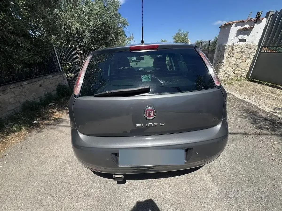 Usata Fiat Punto 75 CV (55 kW) 2015 Grigio Utilitaria