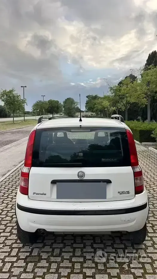 Usata Fiat Panda 77 CV (56 kW) 2011 Bianco Utilitaria