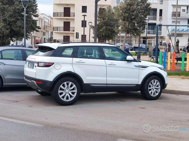 Usata Land Rover Range Rover evoque 150 CV (110 kW) 2016 Bianco SUV