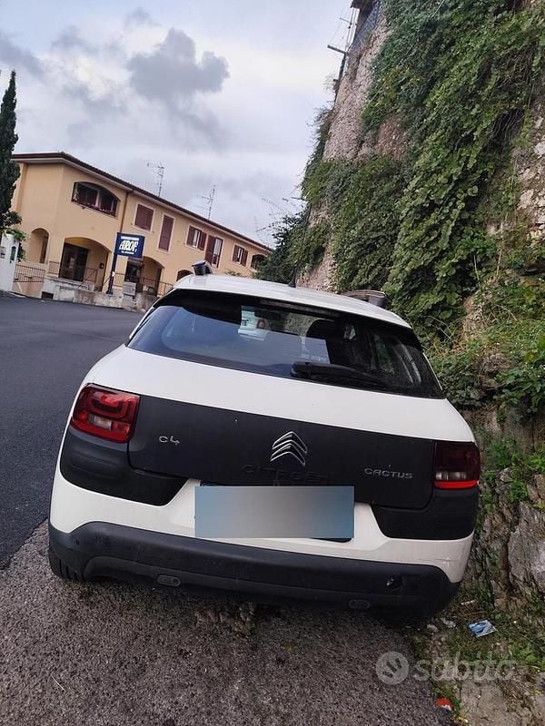 Usata Citroën C4 Cactus 2015 Bianco Utilitaria