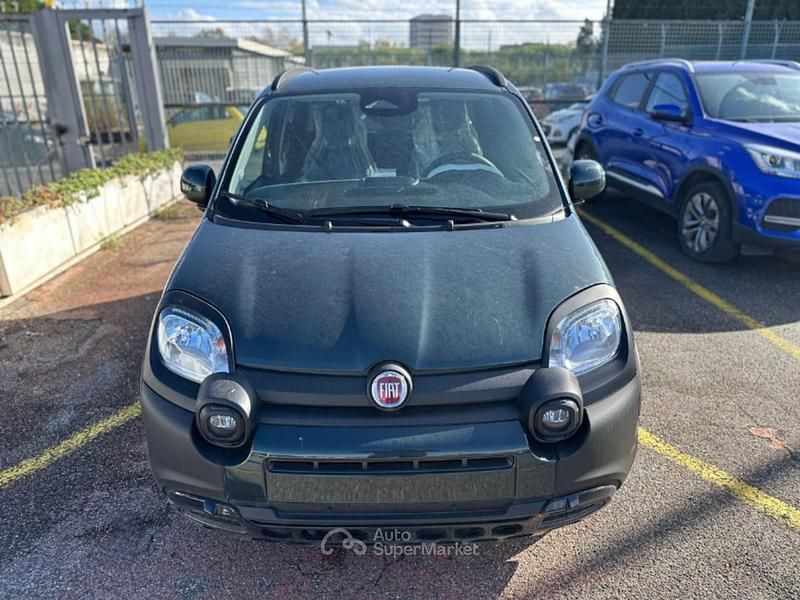 Usata Fiat Panda Cross Cross 70 CV (51 kW) 2025 Verde foresta Utilitaria