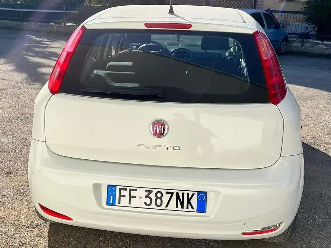Usata Fiat Punto Street 69 CV (50 kW) 2016 Utilitaria