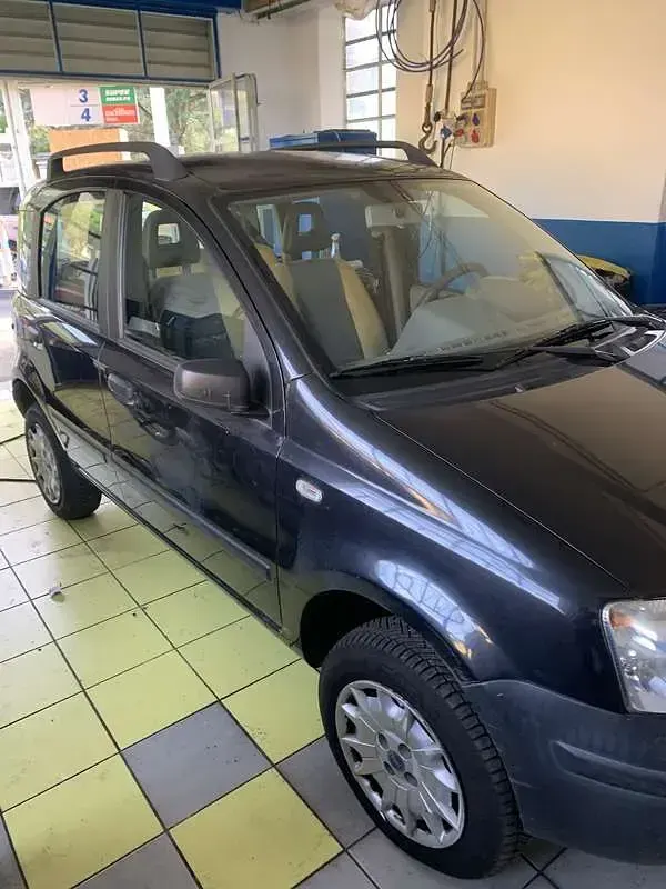 Usata Fiat Panda 4x4 60 CV (44 kW) 2006 Utilitaria
