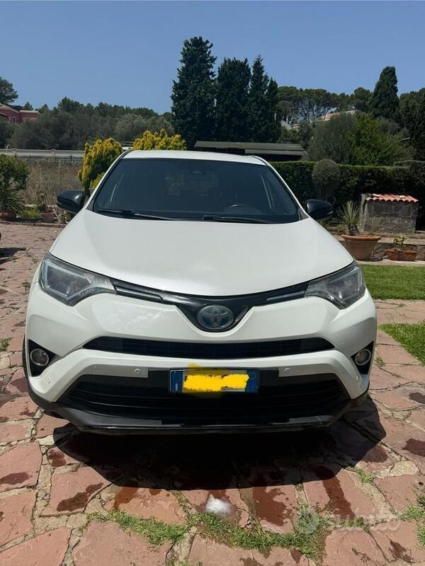 Usata Toyota RAV4 Hybrid 155 CV (114 kW) 2017 Bianco SUV