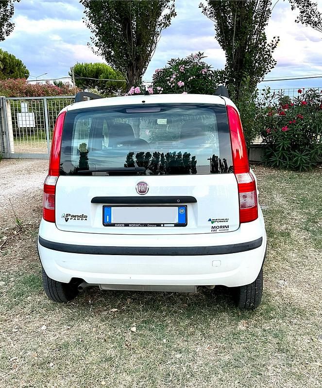 Usata Fiat Panda 77 CV (56 kW) 2009 Bianco Utilitaria