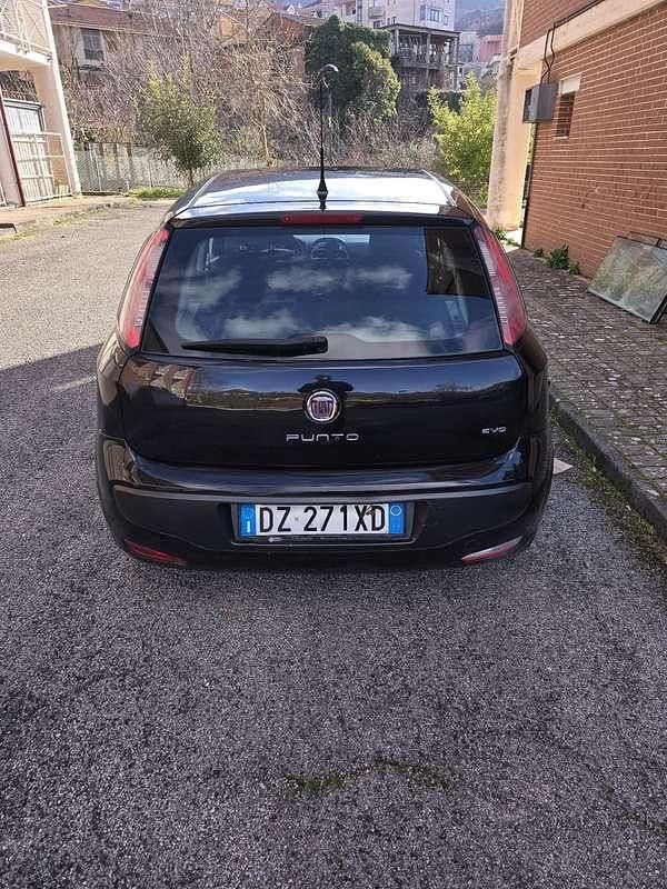 Usata Fiat Punto Evo Active 77 CV (56 kW) 2010 Utilitaria
