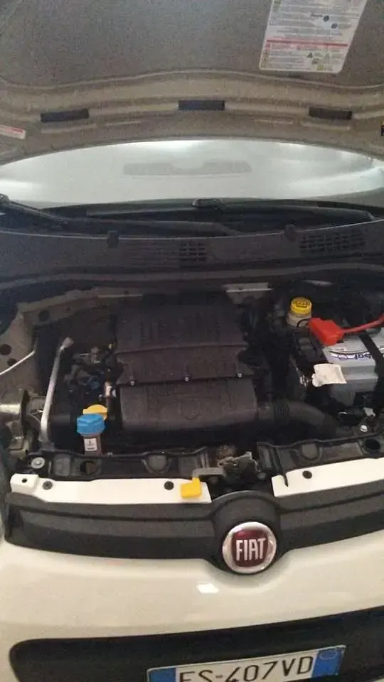 Usata Fiat Panda Easy 69 CV (50 kW) 2018 Other Utilitaria