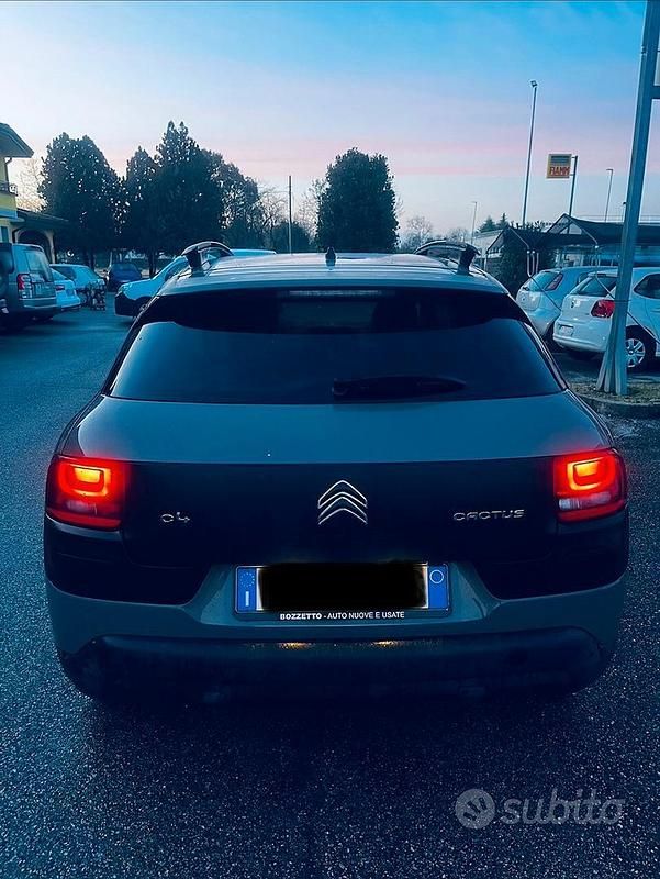 Usata Citroën C4 Cactus Shine 99 CV (72 kW) 2017 Marrone Utilitaria