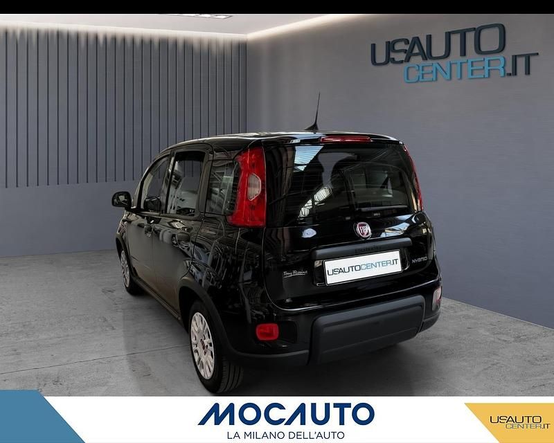 Usata Fiat Panda Icon 70 CV (51 kW) 2024 Nero Utilitaria