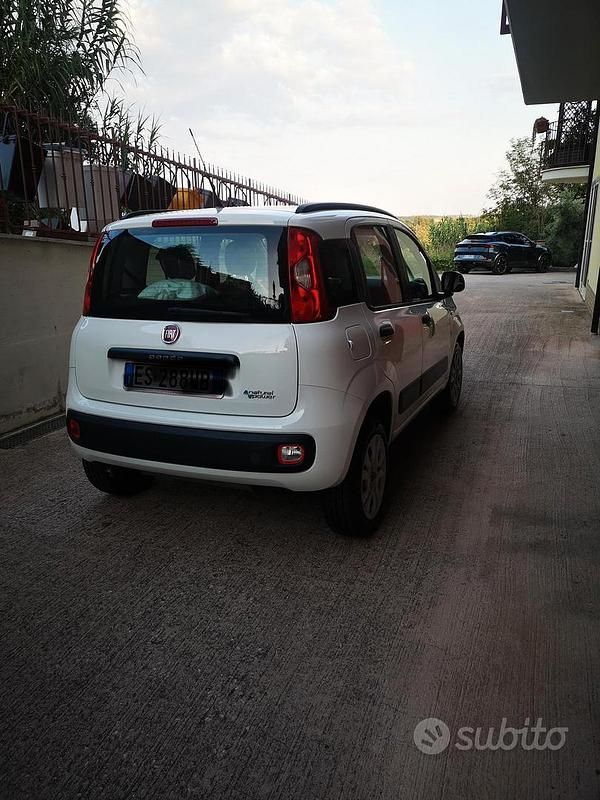 Usata Fiat Panda 85 CV (62 kW) 2013 Bianco Utilitaria