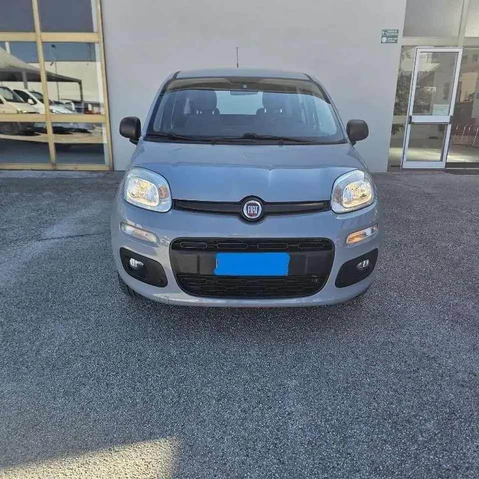 Usata Fiat Panda Easy 69 CV (50 kW) 2019 Grigio Utilitaria