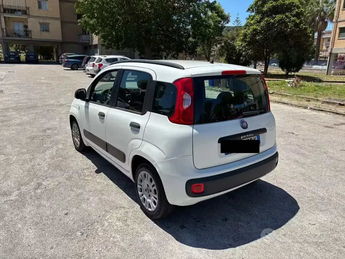 Usata Fiat Panda Easy 69 CV (50 kW) 2014 Bianco Utilitaria