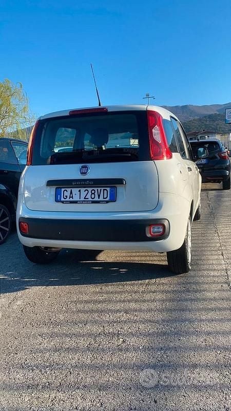 Usata Fiat Panda Easy 69 CV (50 kW) 2020 Bianco Utilitaria