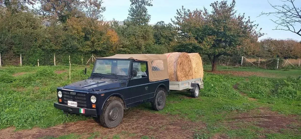 Usata Fiat Campagnola 79 CV (58 kW) 1986 SUV