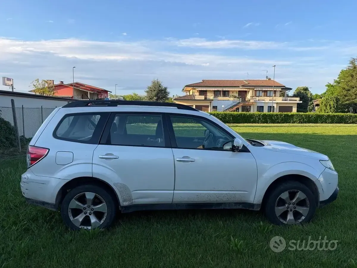 Usata Subaru Forester Trend 147 CV (108 kW) 2014 Bianco SUV