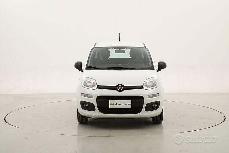 Usata Fiat Panda Easy 69 CV (50 kW) 2020 Bianco Utilitaria