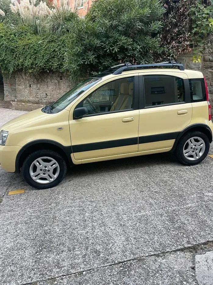 Usata Fiat Panda 4x4 Climbing 60 CV (44 kW) 2005 Giallo Utilitaria