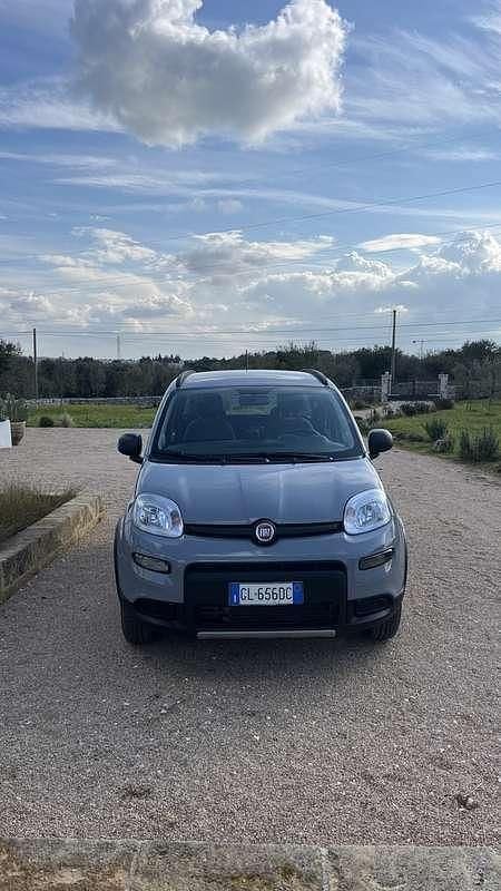 Usata Fiat Panda 4x4 Wild 86 CV (63 kW) 2022 Utilitaria