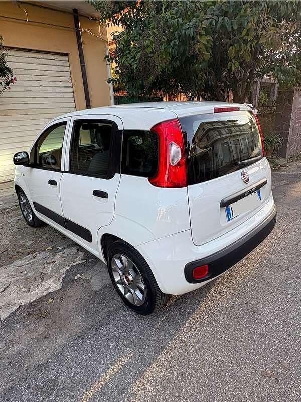 Usata Fiat Panda Young 75 CV (55 kW) 2016 Utilitaria