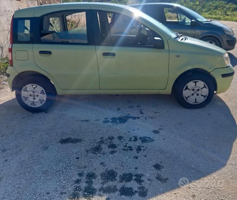 Usata Fiat Panda 54 CV (39 kW) 2006 Verde Utilitaria