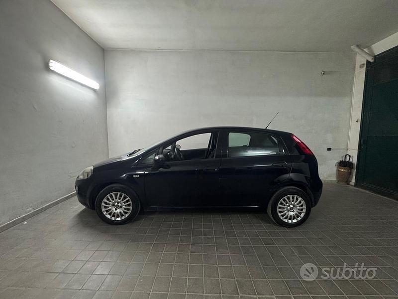 Usata Fiat Punto 2016 Utilitaria