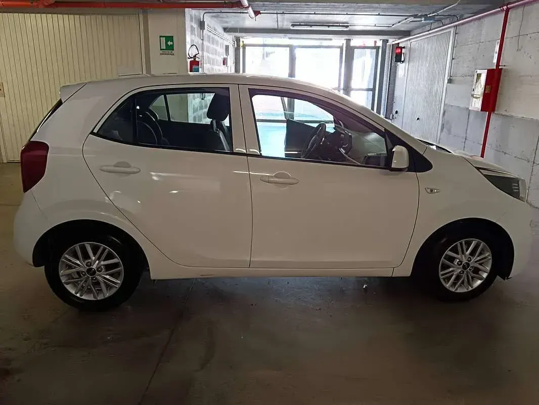 Usata Kia Picanto 67 CV (49 kW) 2023 Bianco Utilitaria