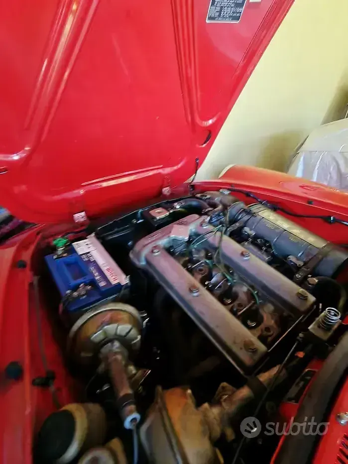 Usata Alfa Romeo Spider Veloce 1970 Rosso Cabrio
