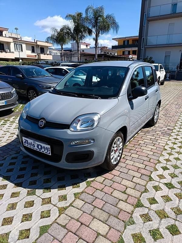 Usata Fiat Panda Easy 69 CV (50 kW) 2018 Grigio Berlina
