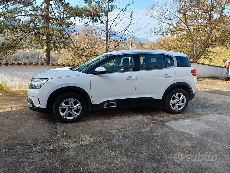 Usata Citroën C5 Aircross Business Class 131 CV (96 kW) 2019 Bianco SUV