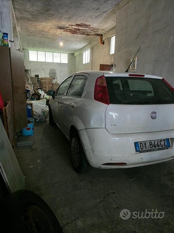 Usata Fiat Punto 77 CV (56 kW) 2009 Bianco Utilitaria